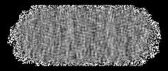 5 ) ha seen in the Q and U signal maps is as expected for an E-mode dominated sky. 16.