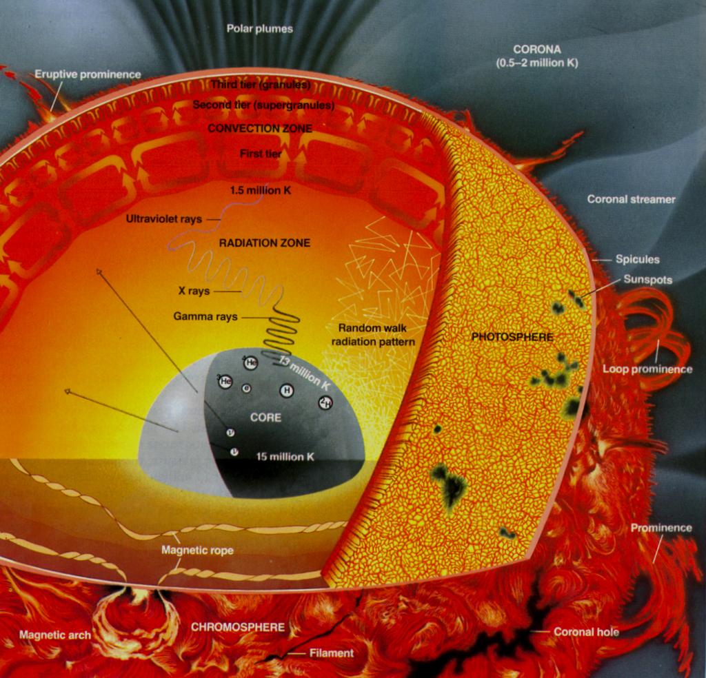 La Struttura del Sole q Nucleo Regione in cui viene prodotta l energia.