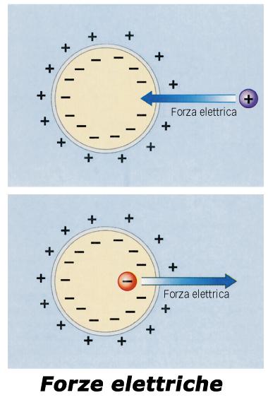 FORZE AGENTI SUGLI IONI FORZA