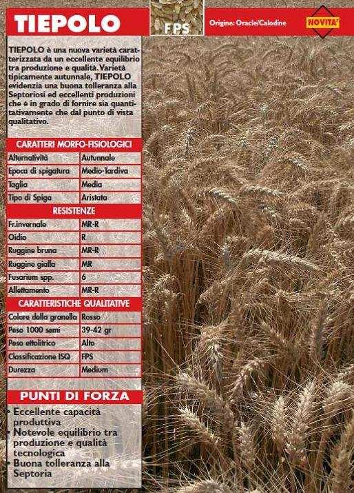 Le varietà BOLOGNA Frumento di Forza La prima varietà:anno 2006,grande stabilità produttiva la prima varietà in Italia, ciclo M-Lungo, Qualità Molitorie ottimali PALESIO Frumento Panificabile e