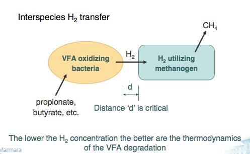 a) idrogenotrofa: produzione di metano attraverso l ossidazione anaerobica dell idrogeno condotta dai batteri idrogenotrofi: CO2 + 4H2 CH4 + 2H2O b) acetoclastica: dismutazione anaerobica dell acido