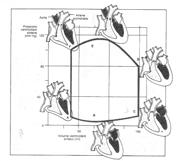 Diastole ;Reimpimento ventricolare Uscita: contrazione, sistole Rilassamento isovolumico Reimpimento ventricolare Sistole isovolumico Vo V = V - Vo "Complianza" = V/P "Elastanza" = P/ V Maggiore la