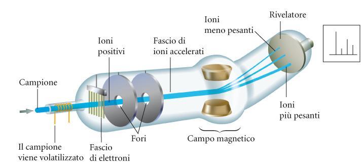 Determinazione delle masse atomiche e molecolari: la spettrometria di massa Massa Atomica media 6C ha 15 isotopi, ma solo 3 sono