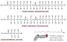 Biochimica: chimica delle molecole