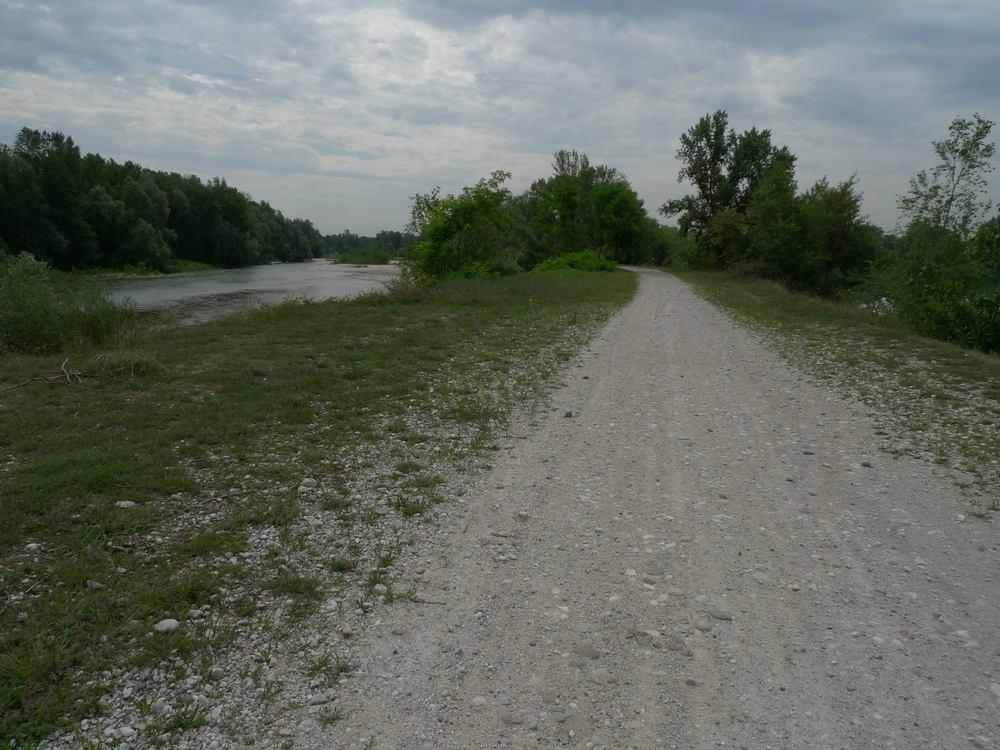 4 TRATTO PONTE DI CARTURO CARMIGNANO DI BRENTA Lunghezza: circa 8 Km in destra idraulica.