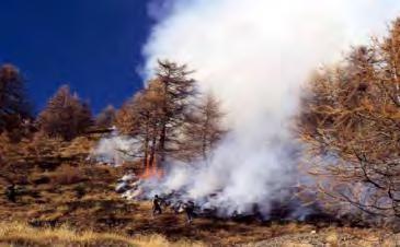 umidità in esso contenuta ed inoltre che non vi è coinvolgimento di