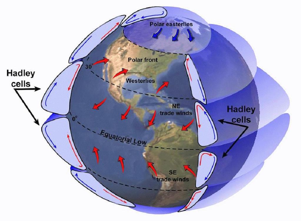 La circolazione globale è