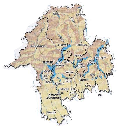 Premessa: La Regione Insubrica Ticino Verbano Varese Como area (kmq) 2'812 2'255 1'199 1'288 Forza