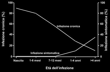 43% della popolazione mondiale vive in queste aree 20-60% rischio di contrarre la malattia durante la vita Infezioni in tutte le età Attraverso trasmissione sessuale o parenterale (interventi