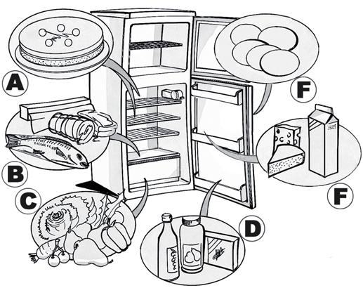 Messa in funzione del frigorifero Inserire la spina nella presa di corrente. Il termostato permette di regolare la temperatura di entrambi i comparti: frigo e congelatore.