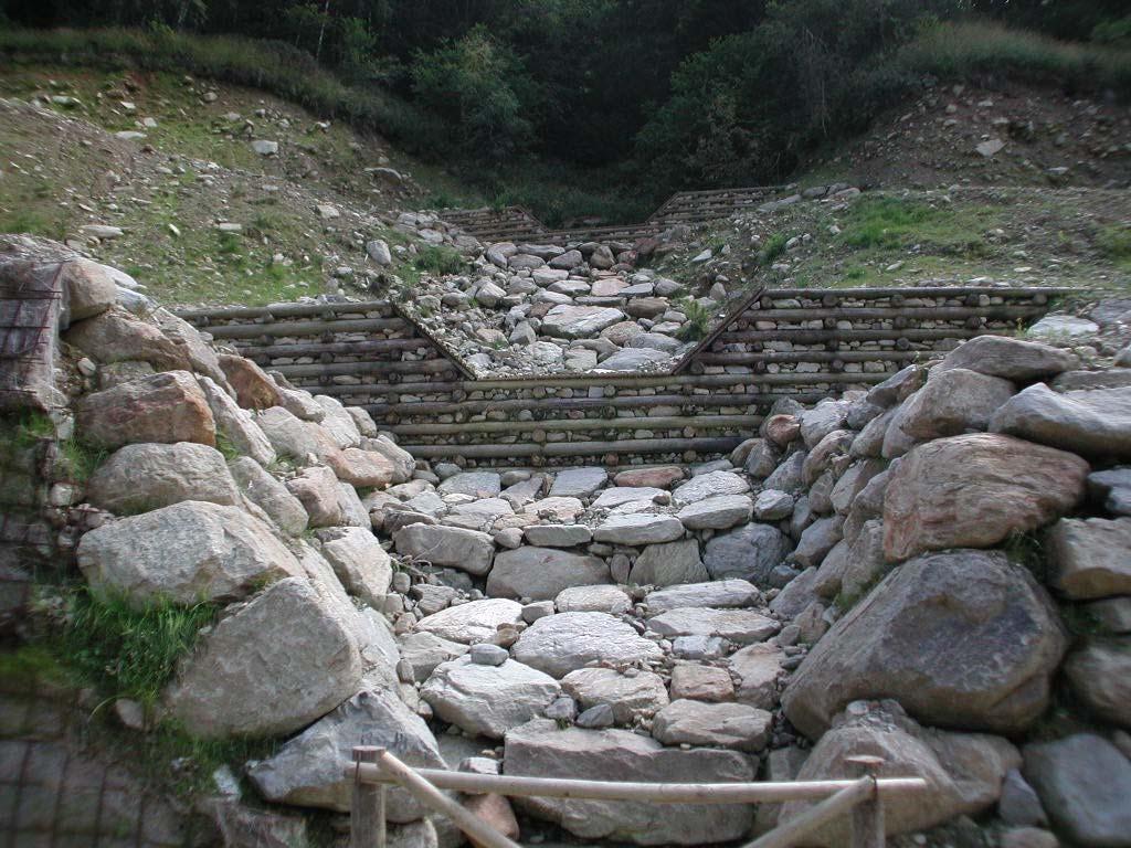 LINEA DI AZIONE 2 Costante manutenzione dei bacini montani ed azione protettiva delle foreste Spesso però le aree in cui hanno origine gli eventi naturali pericolosi sono situate al di fuori delle