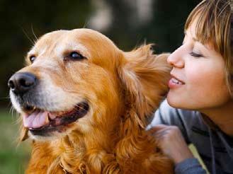 AGGRESSIVITÀ E DOMINANZA NON SONO LA STESSA COSA Molto spesso si sente dire che se un cane è aggressivo, per