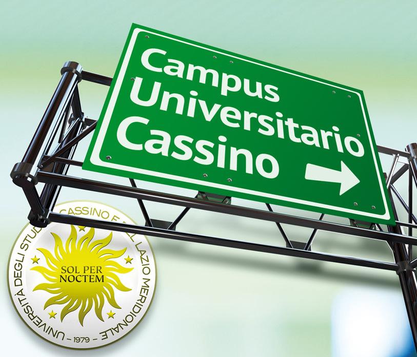 L Ateneo di Cassino in cifre 5 Dipartimenti: Economia e Giurisprudenza Ingegneria Civile e Meccanica Ingegneria Elettrica e dell Informazione Lettere e Filosofia Scienze Umane, Sociali e della Salute