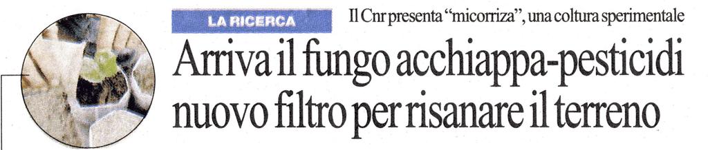 BIOREMEDIATION La Repubblica 19 ott. 2004 Grazie al lavoro di alcuni ricercatori del Centro Culture Sperimentali del C.N.R.,