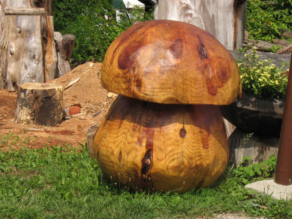 Boletus