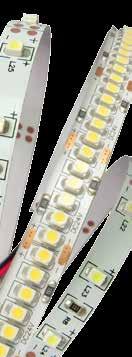 STRIP LED 24V Strip Led 3528 SMD - IP20 Cod.