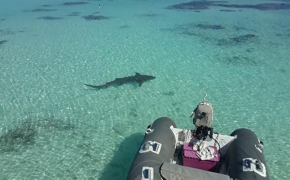 VACANZE ALLE ISOLE TUAMOTU AGOSTO E SETTEMBRE 2017 MAGGIO/GIUGNO 2018 Imbarco a Fakarava -