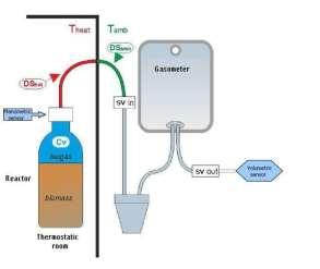 BMP: quali informazioni si ottengono Produzione di biogas: Nm 3 /ton SV o Nm 3 /ton biomassa tal quale Produzione