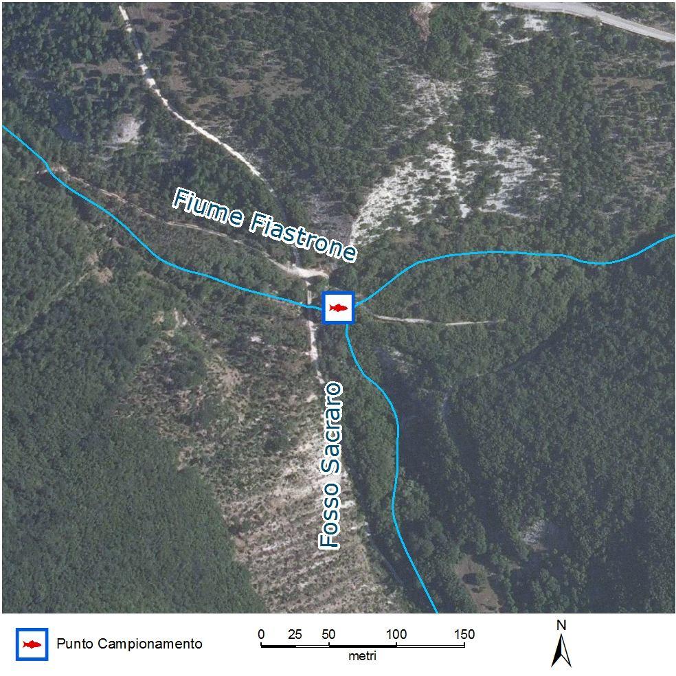 6.9 - Torrente Acquasanta 6.9.1 - Caratteristiche ambientali Tratto caratterizzato da un buon grado di naturalità, anche se contraddistinto dalla presenza Codice Nuovo: MC09ACQU01 02ACQU01 fiume