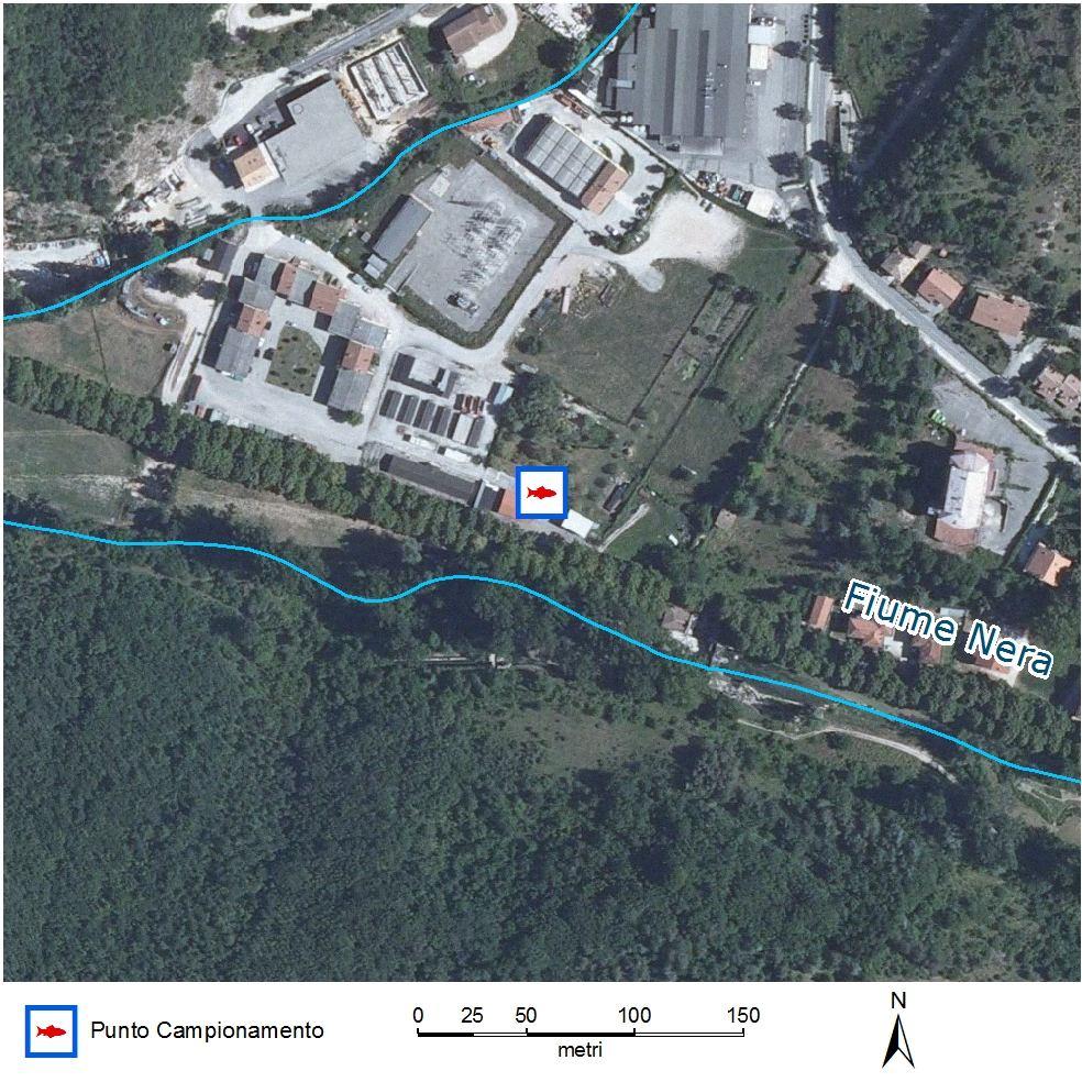 6.3 - Fiume Nera 6.3.1 - Caratteristiche ambientali Il tratto si colloca a valle della diga Enel.