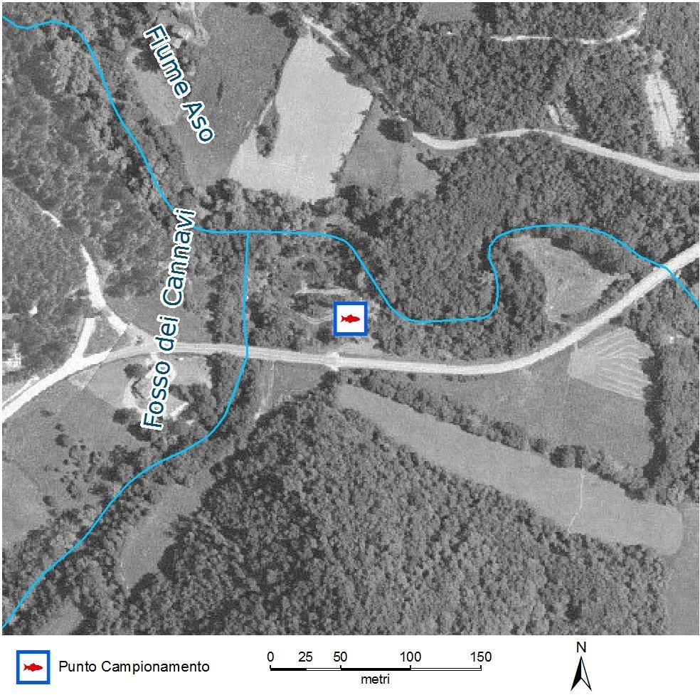 6.29 - Fiume Aso 6.29.1 - Caratteristiche ambientali La stazione presenta una buona condizione di naturalità e di qualità dell acqua.