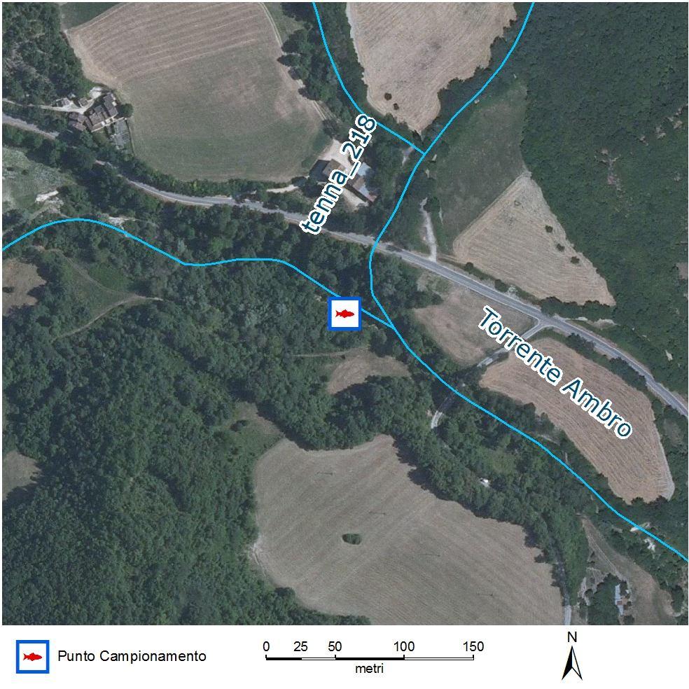 6.32 - Fiume Ambro 6.32.1 - Caratteristiche ambientali Situato a pochi km dal precedente tratto, presentale stesse caratteristiche del sito di Codice Nuovo: FM10AMBR03 05AMBR02 fiume Tenna 42 57 12'