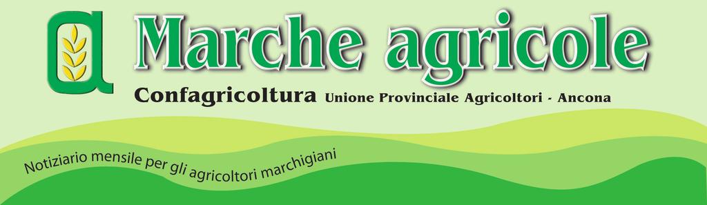 L AGRICOLTURA AUMENTA LA PRODUZIONE OLTRE LA META DEL VOLORE AGGIUNTO PROVIENE DALLE GRANDI AZIENDE Secondo l ISTAT nel 2012 le aziende agricole italiane sono circa 1,6 milioni, occupano 969 mila