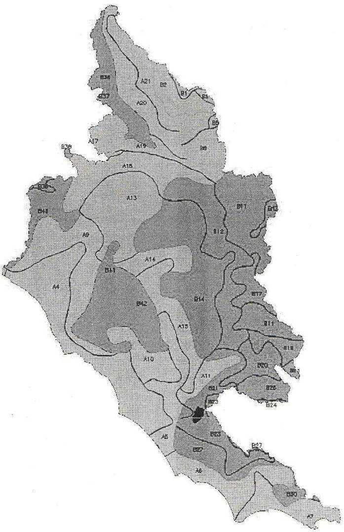 Fig.7: Suddivisione del Compartimento Roma-Pescara in zone e sottozone omogenee per il bacino del fiume Tevere. Tab.9: Parametri del primo livello di regionalizzazione. Λ * Θ * A 0.174 3.490 B 0.