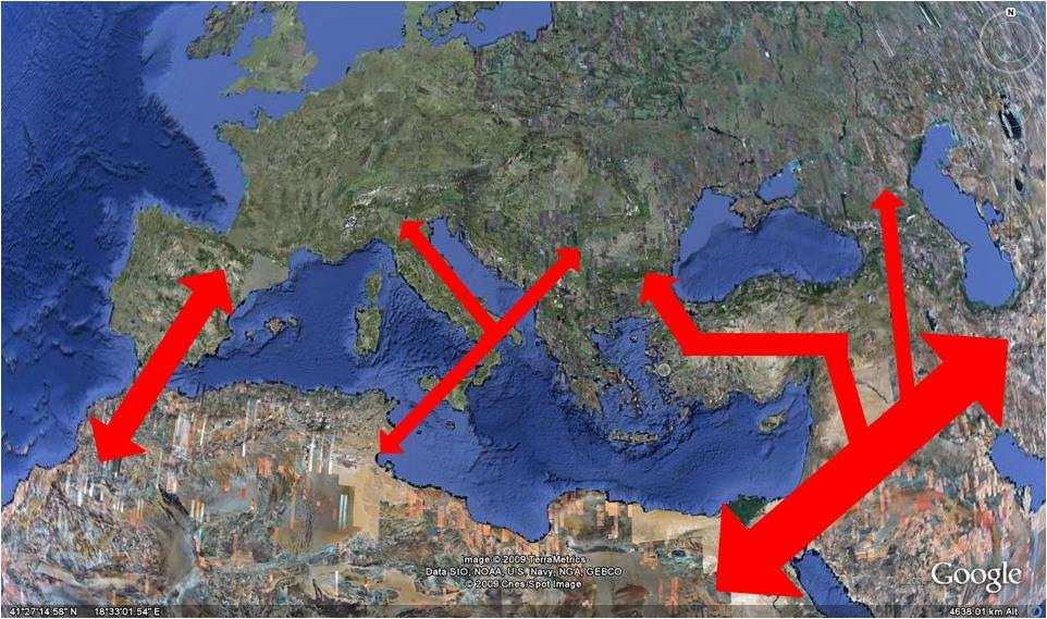 rappresenta un ideale corridoio migratorio per tutte quelle specie di uccelli che sfruttano l asse ionico costiero per i loro spostamenti annuali dai quartieri di svernamento a quelli riproduttivi, e