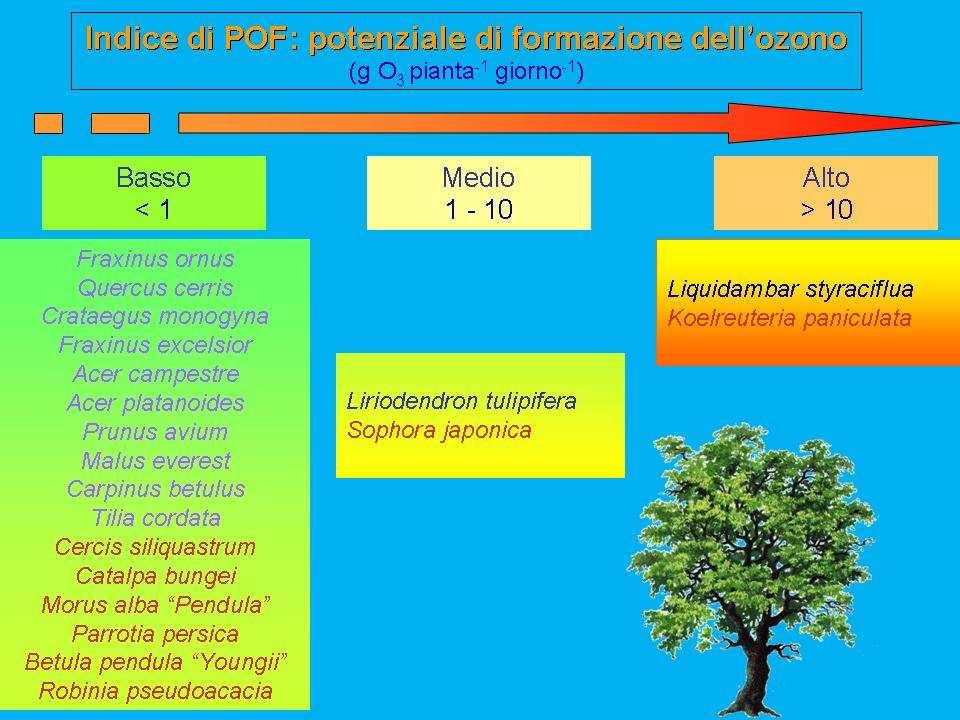 Rimuovere inquinanti Emettere O2 e VOC NH 3 e NH 4 SO