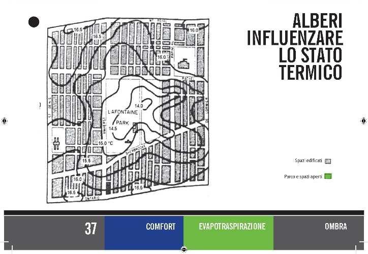 (Spazi verdi urbani Scudo, de la Torre) A -Attività terziarie: alberi per ombreggiare il marciapiede e l edificio, siepe per riparare dal traffico