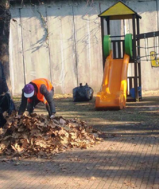 società Patrimonio del Comune, tra fine dicembre 2016