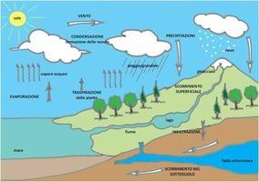 IL CICLO DELL'ACQUA La quantità di acqua presente sulla terra rimane sempre più o meno costante nonostante tutti gli esseri viventi (uomo compreso) ne utilizzino in grandi quantità.