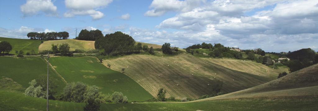 I. BENE PAESAGGISTICO GRADO DI INTEGRITÀ DEI VALORI CONNOTATIVI OVINCIA 3 di 6 MATRICE DI INTEGRITÀ [grado integrità/valore] permanenza trasformazione perdita valore storico valore culturale valore