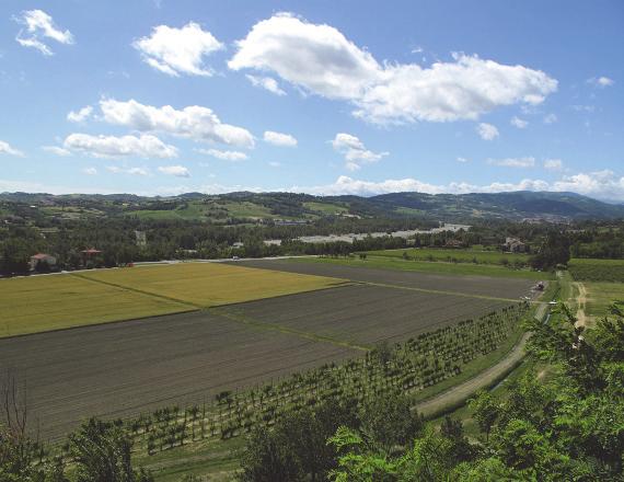 II. BENE E CONTESTO PAESAGGISTICO PERCEZIONE OVINCIA 5 di 6 MATRICE DI CONTESTO [morfologia/contesto] costiero pianura collinare montano contesto naturale contesto agricolo tradizionale contesto