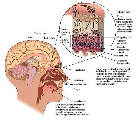 ) Fig. 4.