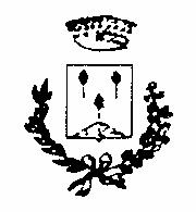 C O M U N E D I C A R E R I Provincia di Reggio Calabria REGOLAMENTO PER L USO DI LOCALI DI PROPRIETÀ COMUNALE APPROVATO CON DELIBERAZIONE DEL COMMISSARIO PREFETTIZIO N.25 DEL 5/4/2007 Art.