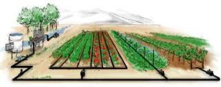 SCADA Meteo & Volumi erogati Consiglio Irriguo fornire un