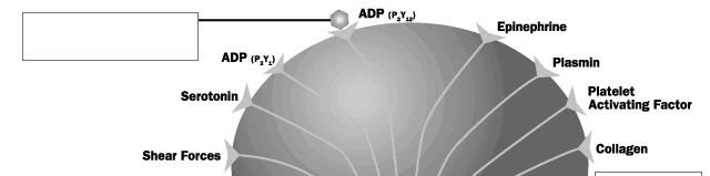 Siti di Azione Tienopiridine ASA