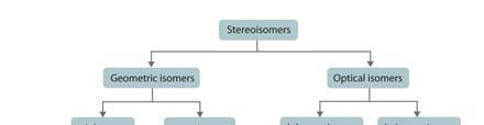 L espressione controllata e sequenziale dell espressione genica é essenziale per la crescita e il differenziamento ordinato delle cellule.