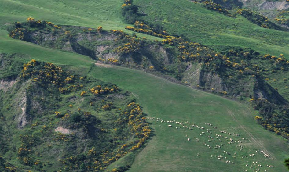 Le necessità primarie dei pipistrelli sono rappresentate dalla disponibilità di rifugi adeguati (alberi vetusti, case rurali, edifici storici, grotte e cavità artificiali) e da buone aree di