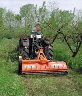 APPREZZAMENTO DI PROVA Le prove sono state svolte su residui di potatura invernale di produzione di un pescheto inerbito di quindici anni, allevato a vaso; il sesto d impianto era di 5x4 m con