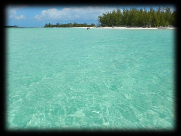 - Fabri, dato che non doveva comprare nulla di cambusa, dopo aver fatto acqua si è diretto verso nord. Ci siamo dati appuntamento nella baia a nord sull isola di Manjack Cay.