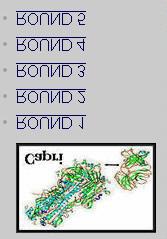 CAPRI Ogni anno vengono chiesti ai gruppi partecipanti dei possibili ligandi per proteine a struttura nota.