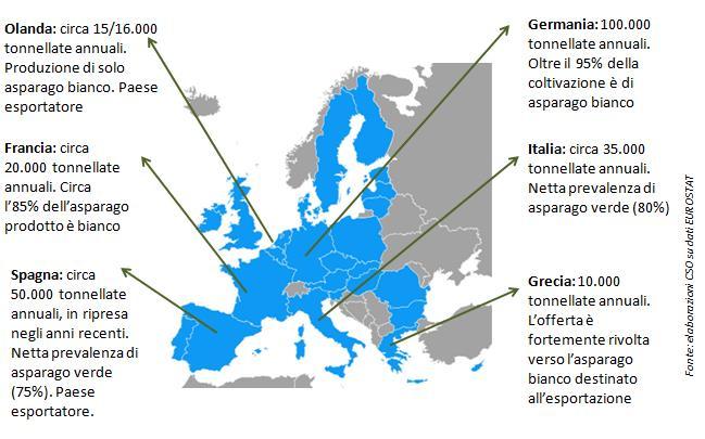 La produzione dell asparago nella UE Complessivamente in Europa circa il 70% del prodotto è di tipologia bianca.