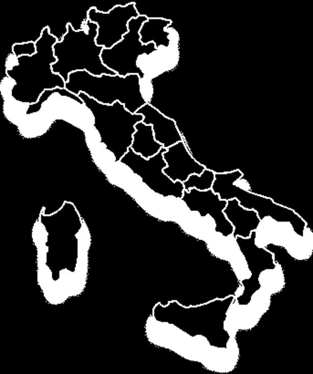 Fonte: elaborazioni CSO su dati ISTAT Focus sulla produzione italiana Veneto = poco meno del 20% bianco 80%, verde 20% soprattutto pieno campo Lazio = circa 7% verde in particolare a pieno campo,