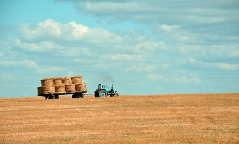 Agrieconomie.com è un giovane portale che offre forniture agricole a 360 gradi. Su Agrieconomie.