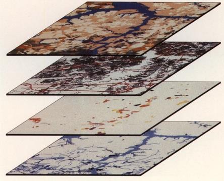 LA STRUTTURA DEL GIS Il GIS viene solitamente rappresentato come una struttura a più livelli di tematismi cartografici, o come si è soliti dire un