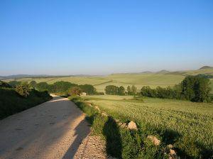 to Domingo, a Redicilla del Camino e all entrata di Belorado. Grañón è il primo paesino che incontriamo ed è anche l ultimo della Rioja.