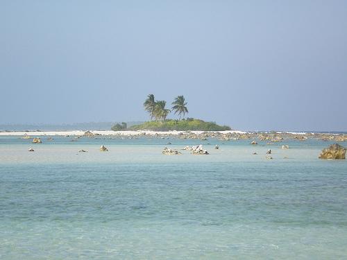 Gli atolli sono formati da cinture di barriera corallina che circondano lagune semi-circolari, senza che la terraferma superi i 4 m. sul livello del mare.